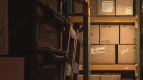 Boxes stacked on shelves in a storage area during the day Stock Footage 344377143