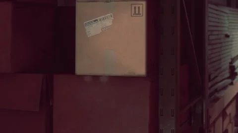 Boxes stored on shelves in a warehouse during the afternoon Stock Footage 343497149