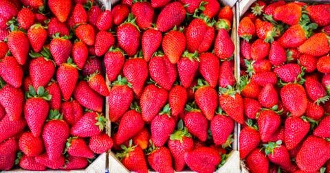 Boxes of strawberries Foto stock