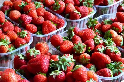 Boxes of strawberries Foto stock
