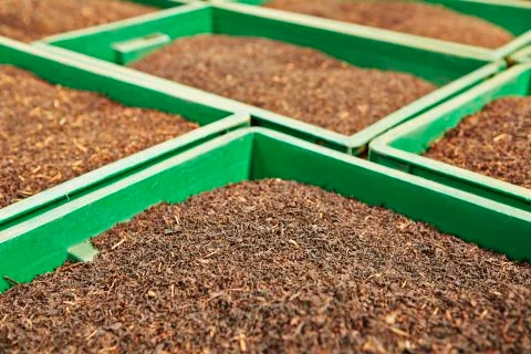 Boxes of tea Stock-Fotos