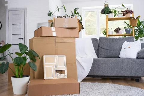 Boxes with things for moving and house plants are in the room of the new ho.. Foto stock