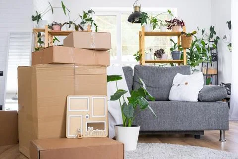 Boxes with things for moving and house plants are in the room of the new ho.. Foto stock