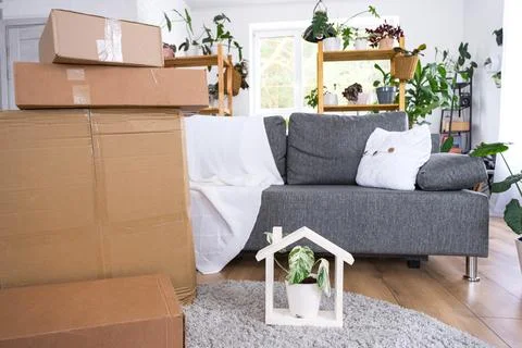 Boxes with things for moving and house plants are in the room of the new ho.. Stockfoto's