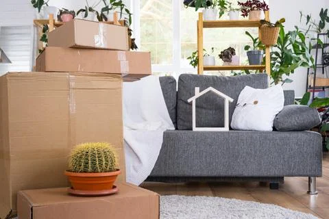 Boxes with things for moving and house plants are in the room of the new ho.. Foto stock