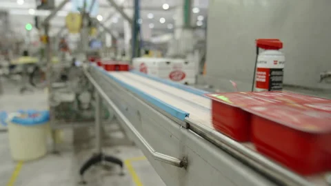 Boxes of tomato paste in a canned food production facility Stock Footage 239076647