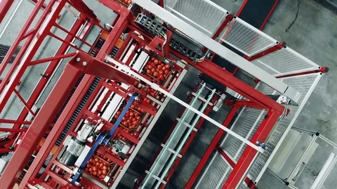 Boxes with tomatoes are getting relocated inside of a conveyor Video stock 126713908