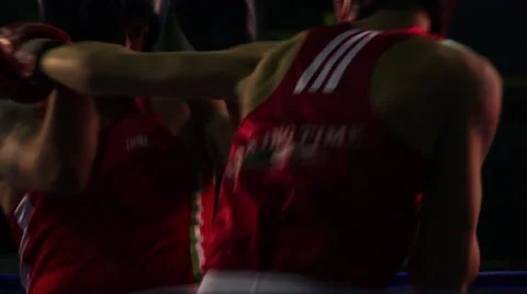 Boxing athletes Stock Footage 43563109