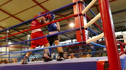 Boxing championship Video stock 52102271