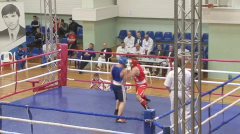 Boxing Stock Footage 2327986