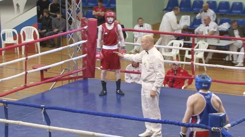 Boxing Stock Footage 2505695