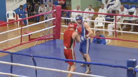 Boxing Stock Footage 2506716