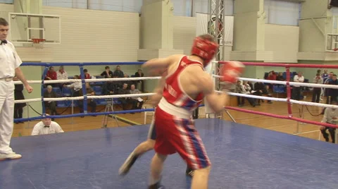 Boxing Stock Footage 2515240