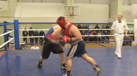 Boxing Stock Footage 2517482