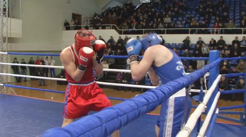 Boxing Stock Footage 2517597