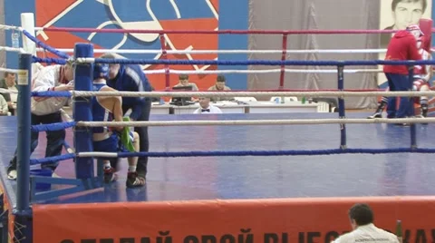 Boxing Stock Footage 2521073