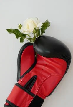 Boxing glove Stock Photos