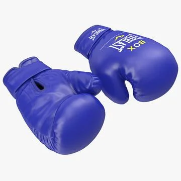 Boxing Gloves Everlast Blue 3D Model 3D Model