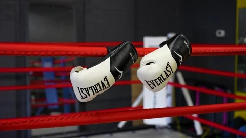 Boxing Gloves Hanging on Ring Ropes Inside Training Gym Stock Footage 330576535