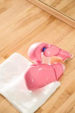 Boxing gloves Stock Photos