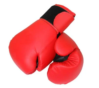 Boxing gloves Stock Photos