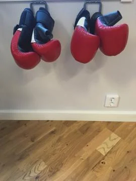 Boxing gloves Stock Photos