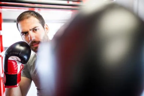 Boxing gloves Stock Photos
