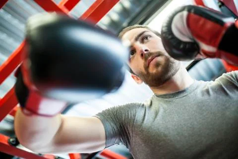 Boxing gloves Stock Photos