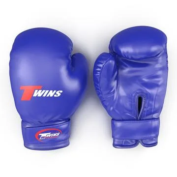 Boxing Gloves Twins Blue 3D Model 3D Model