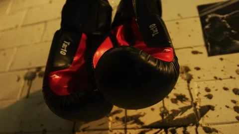 Boxing gloves on a wall Stock Footage 100036436