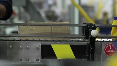 Boxing mustard containers Video stock 77053647