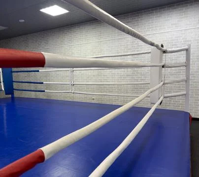 A boxing ring with a blue mat and white and red ropes Stock Photos