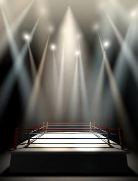Boxing ring spotlit dark Stock Illustration