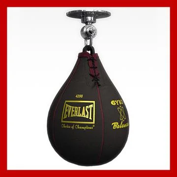 Boxing Speed Bag 3D Model