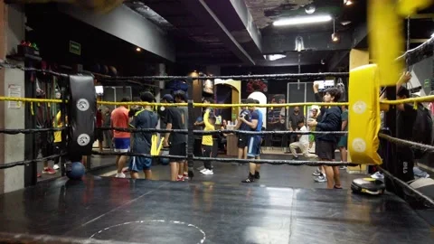 Boxing training session inside a busy gym with athletes practicing in a boxing Stock Footage 344335823