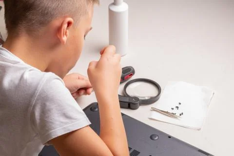 A boy of 10 years old is sorting a laptop for cleaning and maintenance. Selec Stock Photos