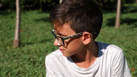 Boy 12 years old, sits on a green meadow in a summer sunny day. close-up. Slow Vidéo 80391209