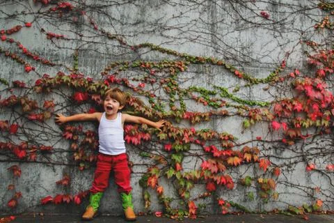 Boy (2-3) standing against a wall with ivy Stock Photos