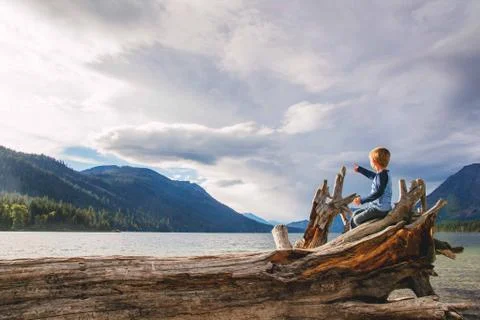 Boy (4-5) sitting on fallen tree pointing into distance Stock Photos