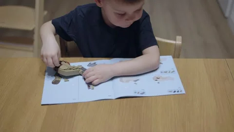 Boy 4-5 years assembles toy according instructions designer without help adults Stock-Footage 242421006