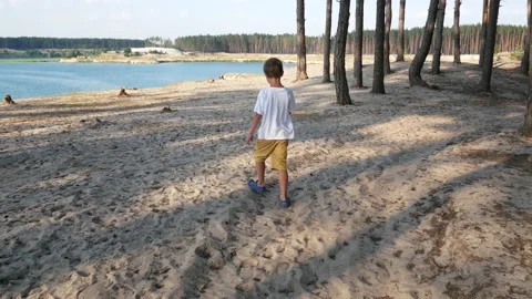 A boy of 5-6 years old walks along the sand in a pine forest and comes out to a Stock Footage 194088063