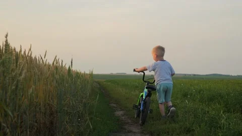 A boy of 5 years old walks through a green field during sunset with his bicycle Stock Footage 247064268