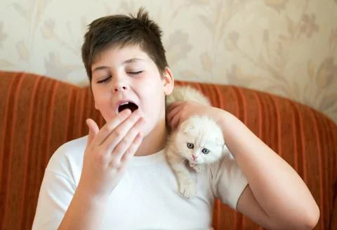 The boy is allergic to cat Stock Photos