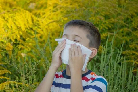 Boy allergic to ragweed. Selective focus Stock Photos