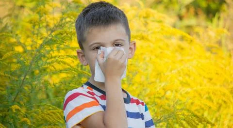 Boy allergic to ragweed. Selective focus Stock Photos