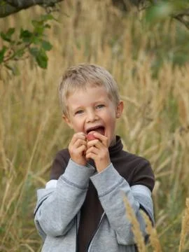 Boy and apple Stock Photos