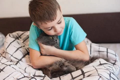Boy and cat Stock Photos