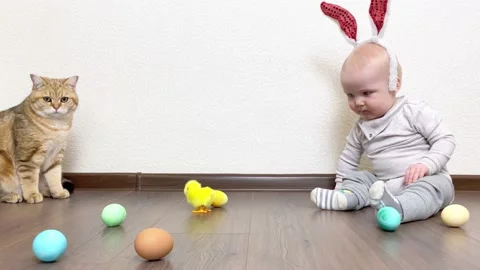 Boy and cat playing with toy chicken Stock Footage 172595710