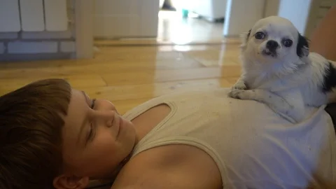Boy and dog Stockbeeldmateriaal 115119069