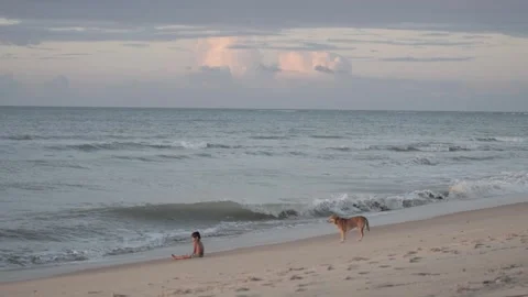 Boy and Dog at Sunset - Beach Stock Footage 311074718